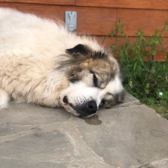 Meet your Posher, Mama - Picture 3 of 3